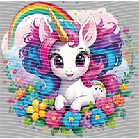 Rainbow Horse-RH 642